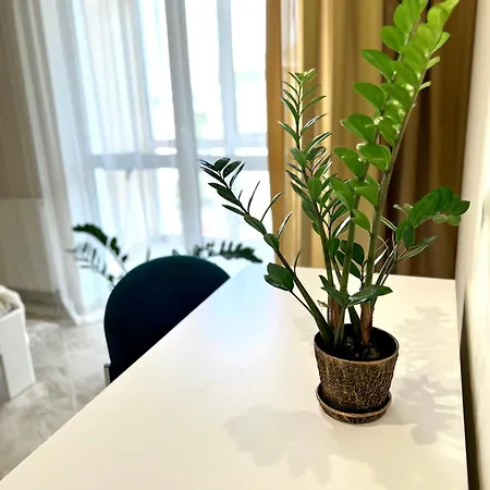 Osapart Shevchenka 25 Street Апартаменти Львів
